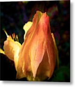 Azalea Bud Metal Print