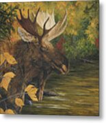 Backwater In Autumn - Moose Metal Print