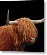 Bad Hair Day - Highland Cow - On Black Metal Print