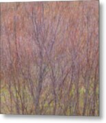 Badlands Branches Metal Print