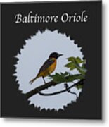 Baltimore Oriole Metal Print