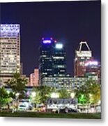 Baltimore Panorama In The Park Metal Print