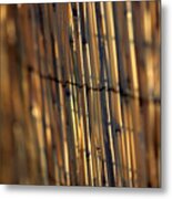Bamboo Fence Selective Focus Metal Print