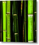 Bamboo Sticks Metal Print