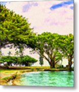 Banyan Trees At Reeds Bay Hilo Metal Print