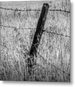 Barb Wire Fence In Infrared Blackand White Metal Print