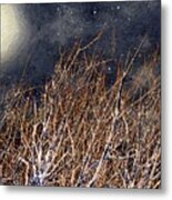 Bare Branches Metal Print