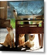 Barn Help Metal Print