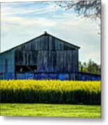 3 - Floating In Canola Metal Print