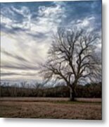 Baron Tree Of Winter Metal Print