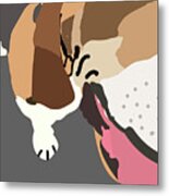 Basset Close Up Metal Print