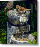 Bath Time Metal Print