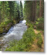 Bavarian Forest Stream Metal Print