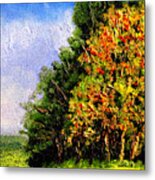 Bc11 Metal Print