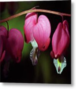 Be Still My Heart Metal Print