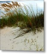 Beach   Grass   And  Sky Metal Print