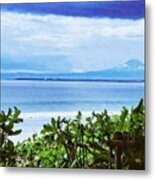 Beach Beauty Metal Print