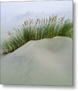 Beach Grass And Dunes Metal Print