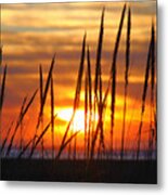 Beach Grass Sunset Metal Print