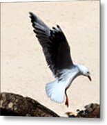 Beach Landing Metal Print