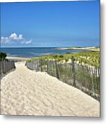 Beach Path At Cape Henlopen State Park - The Point - Delaware Metal Print