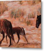 Beach Ponies - Wild Horses In The Dunes Metal Print