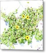 Beach Sun Flowers Metal Print