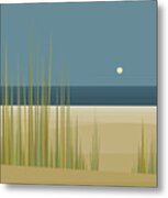 Beaches Metal Print