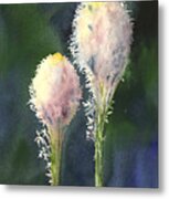 Beargrass Metal Print