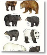 Bears Metal Print