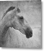 Beautiful Grey Horse In Textured Black And White Metal Print by Michelle Wrighton