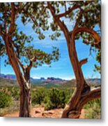 Beautiful Sedona Juniper Metal Print