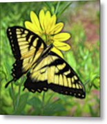 Beautiful Swallowtail Butterfly Metal Print