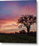 Beauty After The Storm Metal Print