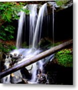 Beauty From Nature Metal Print