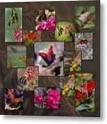 Beauty In Butterflies Metal Print