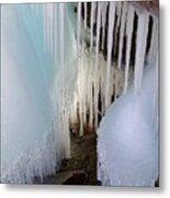 Beauty In The Ice Metal Print