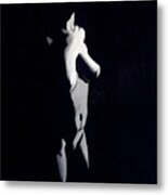 Beauty In The Shadows 4 Metal Print