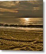 Beauty Of A Day Metal Print