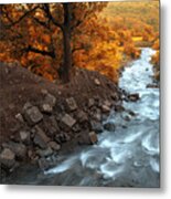 Beauty Of The Nature Metal Print