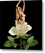 Beauty Of The White Rose Metal Print