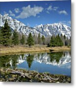 Beaver Dam Metal Print