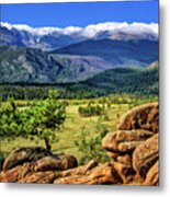 Beaver Meadows In Rocky Mountain National Park Metal Print