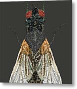 Bedazzled Housefly Transparent Background Metal Print