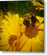 Bee Happy Metal Print