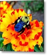 Bee Happy Metal Print