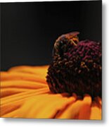 Bee Inspiring Metal Print