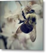 Bee Metal Print