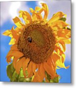 Bee Shaded By Sunflower Metal Print