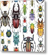 Beetle Collection Metal Print